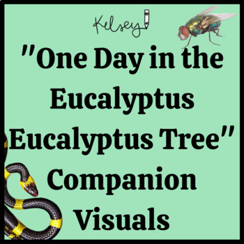 Preview of "One Day in the Eucalyptus Eucalyptus Tree" Companion Visuals 