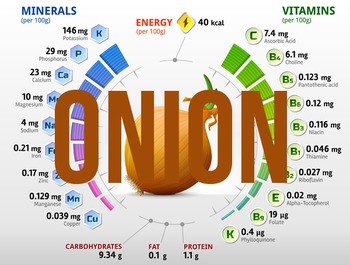 Preview of (Onion) Nutritional information & percentage composition charts
