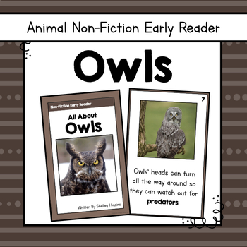 Preview of "Owls" | Animal Nonfiction Early Reader Book and Comprehension Questions | Owl