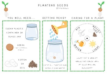 Preview of PLANTING SEEDS