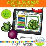  Parts Of A Plant We Eat Pack | Digital Boom Cards