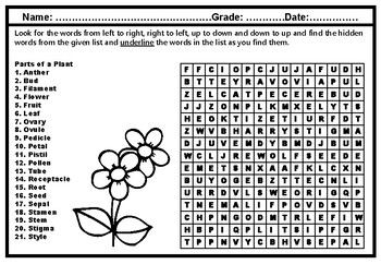 'Parts of a Plant' Word Search Puzzle Worksheet, No Prep ...