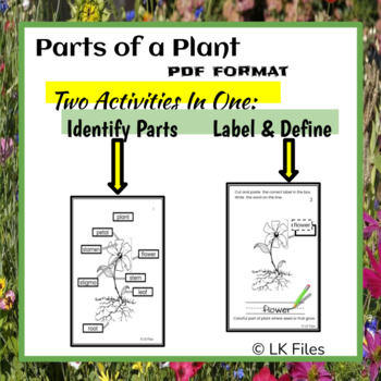 Preview of "Parts of a Plant"  for Learning Centers - pdf format