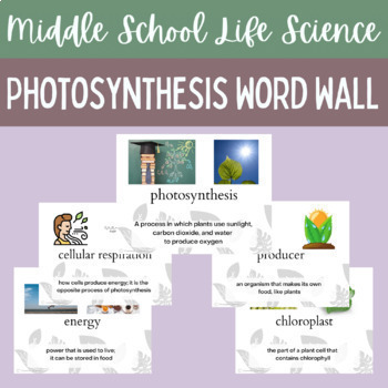 Preview of  Photosynthesis Word Wall NGSS Ecosystems