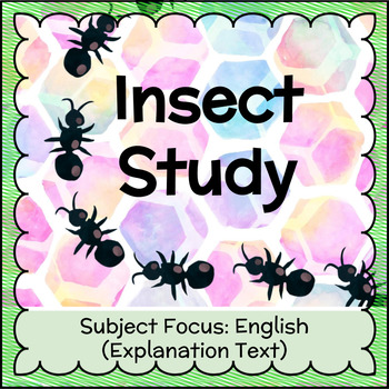 Preview of 'Pimp my Insect' Explanation Text FREEBIE!
