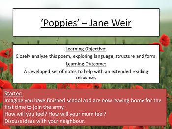 Preview of 'Poppies' - Jane Weir