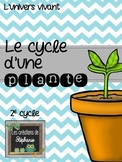 Le cycle d'une plante FRENCH SCIENCE PROJECT