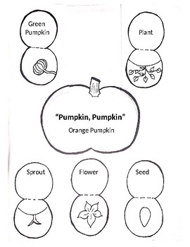 Preview of "Pumpkin, Pumpkin" Sequencing Activity