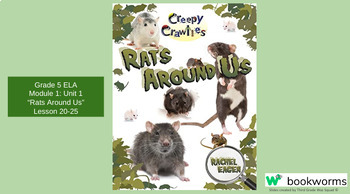 Preview of "Rats Around Us" Google Slides- Bookworms Supplement