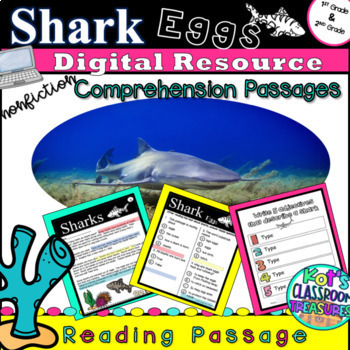 Preview of  Reading Comprehension Passages : Shark Eggs
