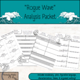 "Rogue Wave" Analysis Packet