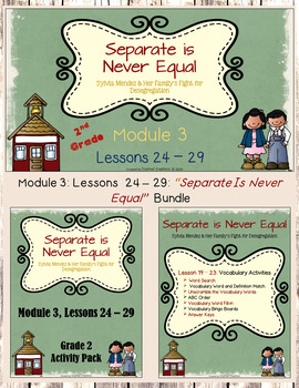 Preview of "Separate is Never Equal..." PowerPoint Slides and Activity Packet Bundle