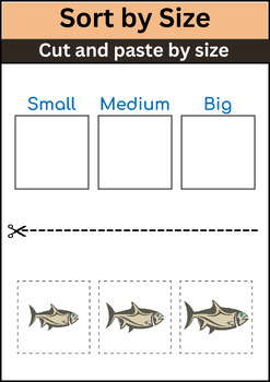 Big Medium and Small work pack sorting by size