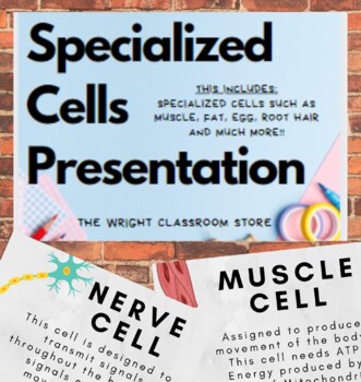 Preview of **Specialized Cells PowerPoint Presentation**