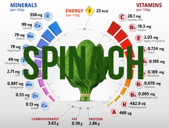 Preview of (Spinach) Nutritional information & percentage composition charts