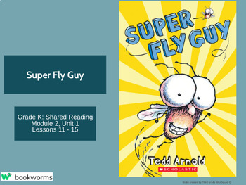 Preview of "Super Fly Guy" Google Slides- Bookworms Supplement