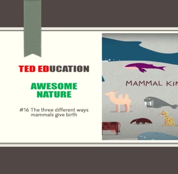 [TED ED] [Awesome Nature] #16 The three different ways mammals give birth