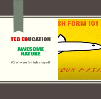 Preview of [TED ED] [Awesome Nature] #2 Why are fish fish-shaped? Worksheet