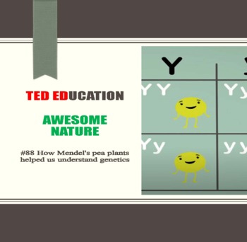 Preview of [TED ED] [Awesome Nature] #88 How Mendel's pea plants helped us understand G