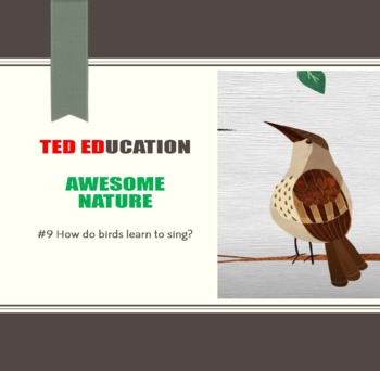 Preview of [TED ED] [Awesome Nature] #9 How do birds learn to sing? Worksheet