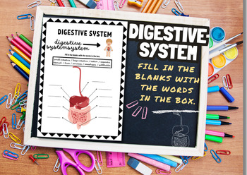 Preview of THE HUMAN DIGESTIVE SYSTEM: Activity Worksheet Posters/for Preschool