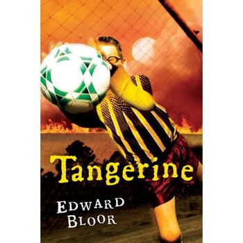 Preview of "Tangerine" Novel BUNDLE