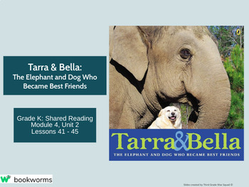 Preview of "Tarra & Bella" Google Slides- Bookworms Supplement