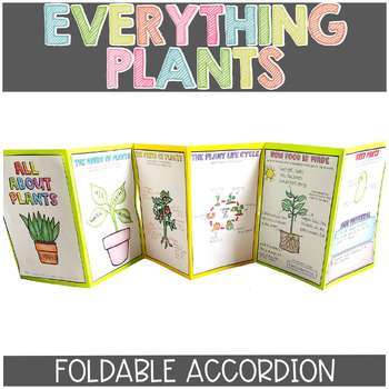 Preview of Parts of a Plant, Plant Life Cycle, Plant Adaptations, & More