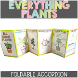 Parts of a Plant, Plant Life Cycle, Plant Adaptations, & More