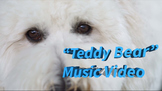 "Teddy Bear" feat. Mr. G and Sophie