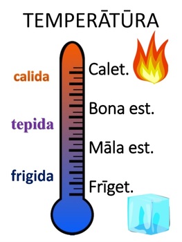 Preview of "Temperatura" Temperature Poster