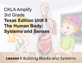 Preview of  Texas Edition Human Bodies Unit 3 3rd Grade Lesson 1 Freebie CKLA