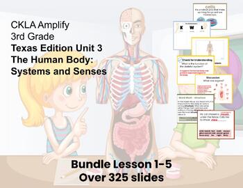 Preview of  Texas Edition Human Bodies Unit 3 3rd Grade   Lessons 1-5 CKLA Amplify