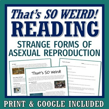 Preview of Asexual Reproduction Activity Article Reading and Worksheet PRINT and GOOGLE