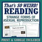 Asexual Reproduction Activity Article Reading and Workshee