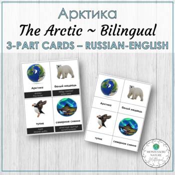 Preview of Арктика The Arctic Russian Bilingual Vocabulary 3 Part Cards Montessori