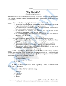 the black cat sample essay