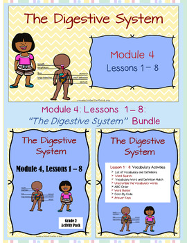 Preview of "The Digestive System" PowerPoint Slides and Activity Packet Bundle