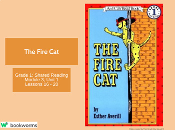 Preview of "The Fire Cat" Google Slides- Bookworms Supplement