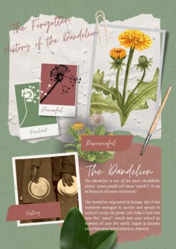 Preview of 'The Forgotten History of the Dandelion' Recipes, history & art printable!