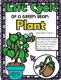 "The Life Cycle of Green Bean Plants" and other Things