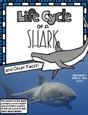 "The Life Cycle of Sharks" and Other Things
