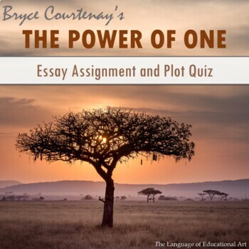 Preview of 'The Power of One' EDITABLE Quiz & Essay Assignment w/ Rubrics