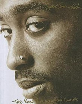 Preview of "The Rose That Grew From Concrete" by Tupac: Poetry Study - DISTANCE LEARNING