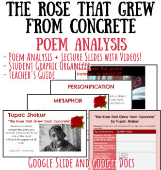 Preview of "The Rose that Grew from Concrete" Poem Analysis Slides and Graphic Organizer