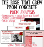 "The Rose that Grew from Concrete" Poem Analysis Slides an