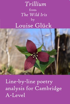 Preview of 'Trillium' by Louise Glück: Poem Analysis