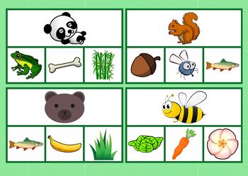 What Do Animals Eat Teaching Resources | TPT