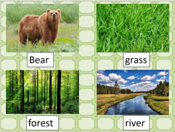 We Re Going On A Bear Hunt Vocab Powerpoint And 2 Worksheets Tpt