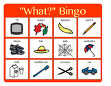 "What?" Bingo - Answering "What?" questions